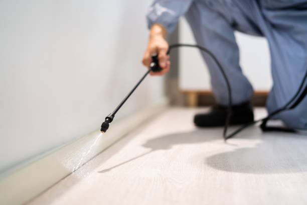 Licensed Fumigation Services service in Deale, MD - Nex Pest Control