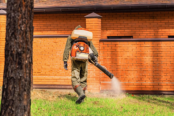 Top rated local Fumigation Services specialists in Deale, MD